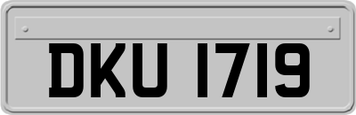 DKU1719
