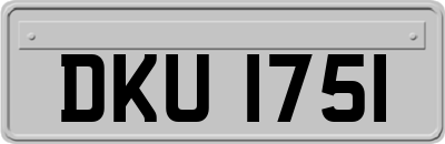 DKU1751