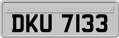 DKU7133