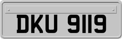 DKU9119