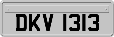 DKV1313
