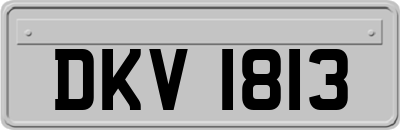 DKV1813
