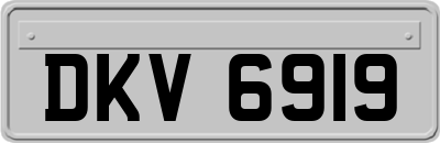 DKV6919