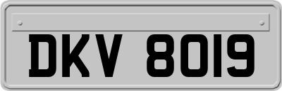 DKV8019