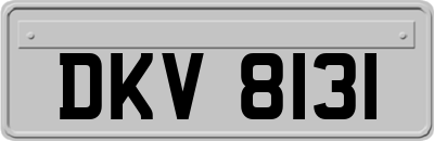 DKV8131
