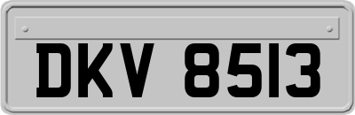 DKV8513