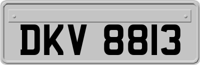 DKV8813