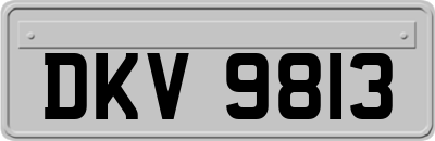 DKV9813