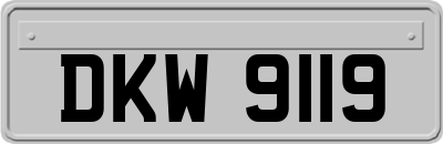 DKW9119