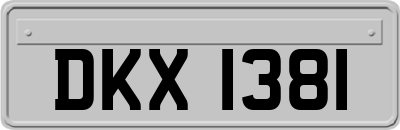 DKX1381