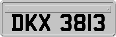 DKX3813