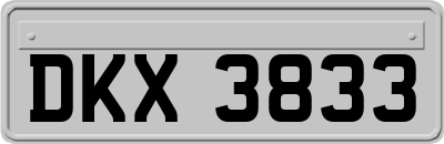 DKX3833
