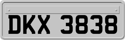 DKX3838