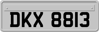 DKX8813