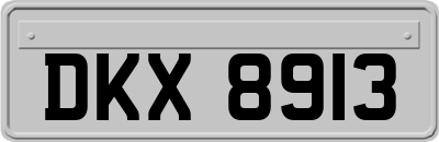 DKX8913