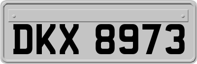 DKX8973