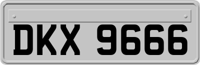DKX9666