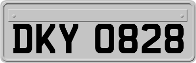 DKY0828