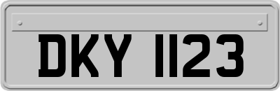 DKY1123