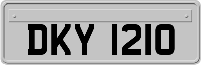 DKY1210