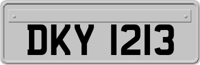 DKY1213