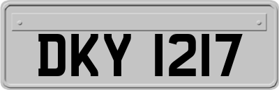 DKY1217