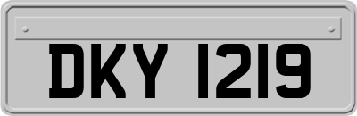 DKY1219