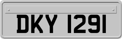 DKY1291