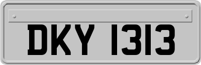 DKY1313