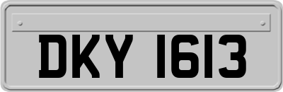 DKY1613