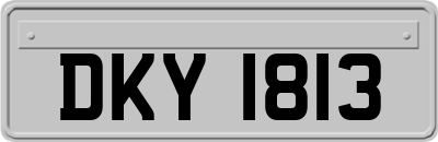 DKY1813
