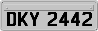 DKY2442