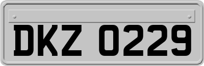 DKZ0229