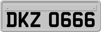 DKZ0666