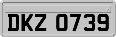 DKZ0739
