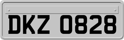 DKZ0828