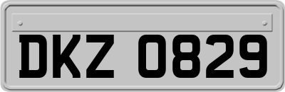 DKZ0829