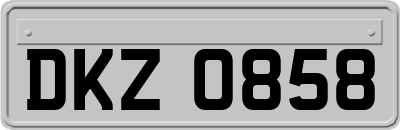 DKZ0858