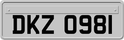 DKZ0981