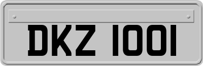 DKZ1001