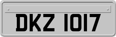 DKZ1017