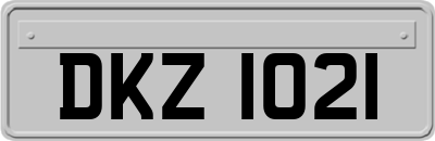 DKZ1021
