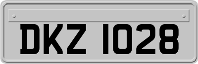 DKZ1028