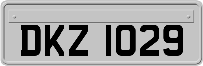DKZ1029