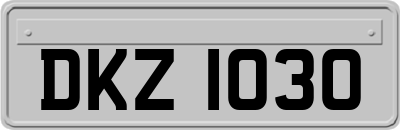 DKZ1030
