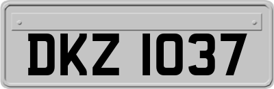 DKZ1037