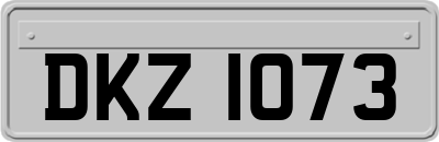 DKZ1073