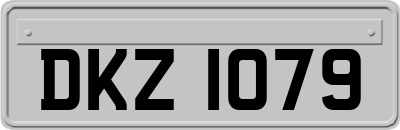 DKZ1079
