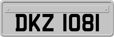 DKZ1081