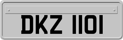DKZ1101